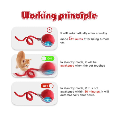 Mizusu Interactive Cat & Dog Teaser Toy with Two Additional Tails, Kitten Rolling Ball Toy, Pet Supplies, Dog & Cat Accessories Cute dog toys