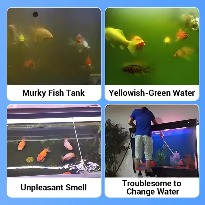 🔥BUY 1 GET 1 FREE🔥Powerful Aquarium Water Purification Tablet🐟