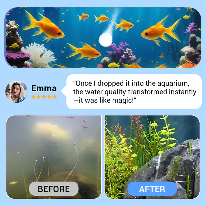 🔥BUY 1 GET 1 FREE🔥Powerful Aquarium Water Purification Tablet🐟