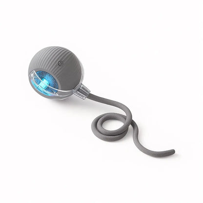 Mizusu Interactive Cat & Dog Teaser Toy with Two Additional Tails, Kitten Rolling Ball Toy, Pet Supplies, Dog & Cat Accessories Cute dog toys