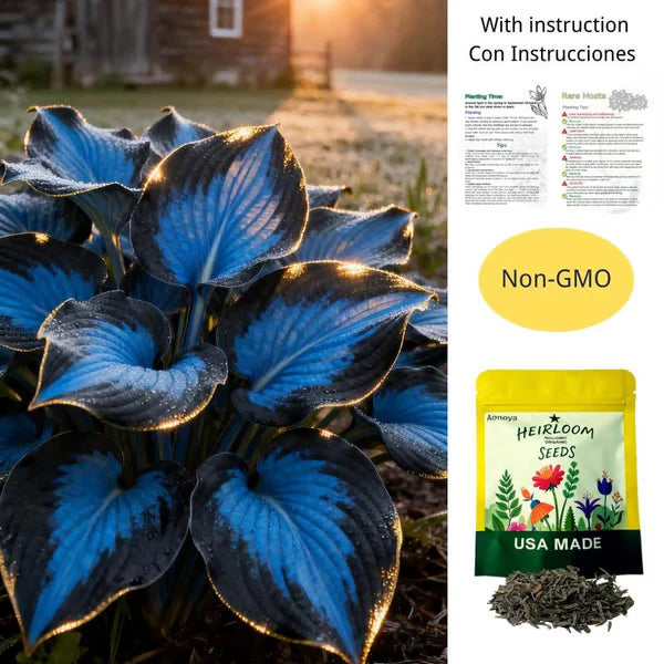 【Ideal for Winter Planting】 🌿Premium Rare Hosta Seeds | 2026 New Arrivals from Los Angeles Flower District