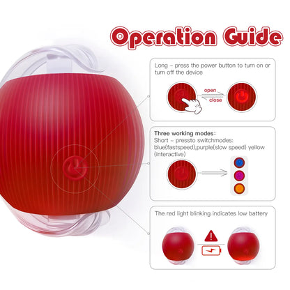 Mizusu Interactive Cat & Dog Teaser Toy with Two Additional Tails, Kitten Rolling Ball Toy, Pet Supplies, Dog & Cat Accessories Cute dog toys