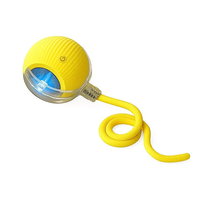 Mizusu Interactive Cat & Dog Teaser Toy with Two Additional Tails, Kitten Rolling Ball Toy, Pet Supplies, Dog & Cat Accessories Cute dog toys