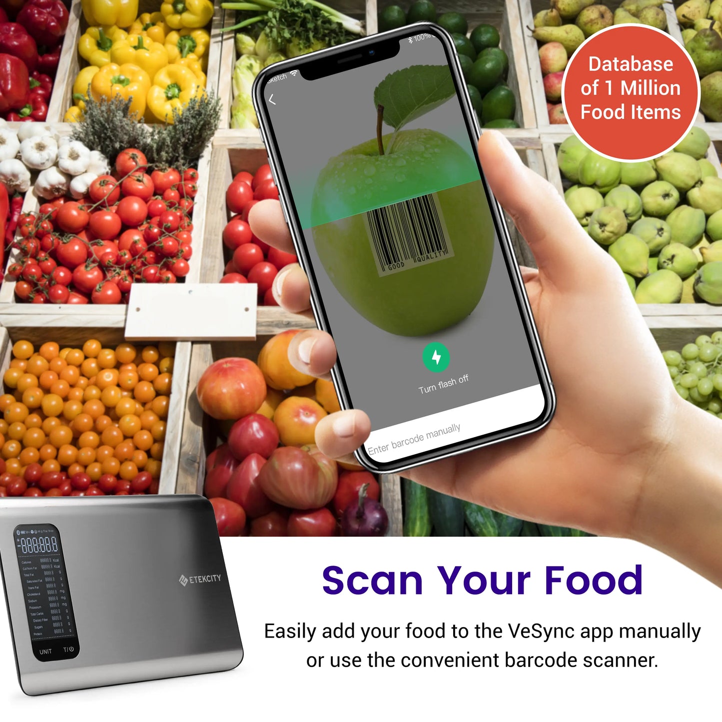 Etekcity ESN00 AI Smart Food Scale | 19 Nutrient Facts Auto Scan | Digital Calorie Counter for Meal Prep & Fitness | Compact Stainless Design