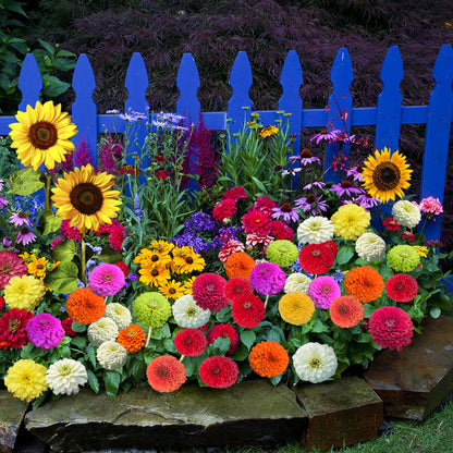 Mixed Wildflower Seeds🌱Fastest germination in three days!