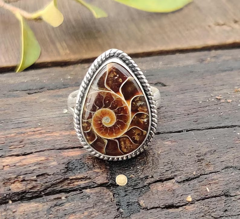 Precious Cambrian ancient conch fossil open adjustment ring
