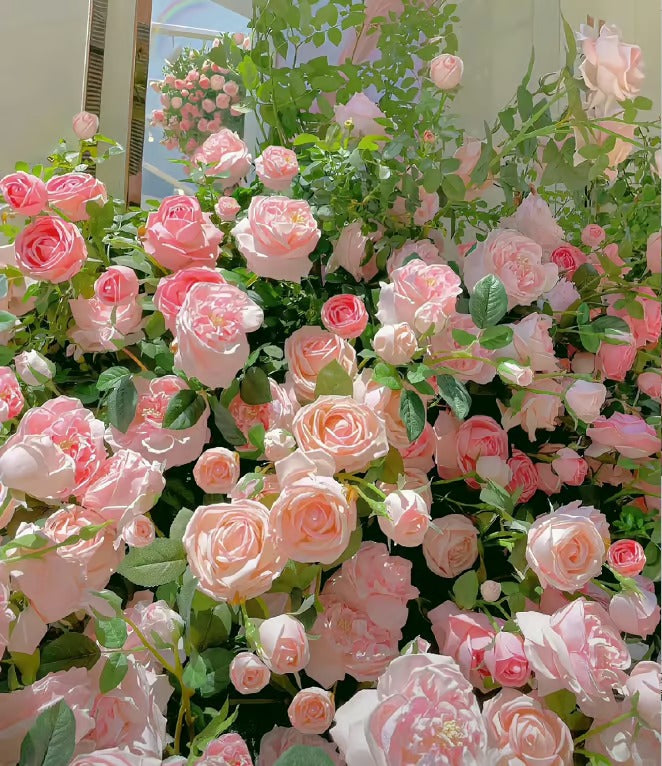 【3 days germination】🔥Last Day 49% OFF🌺Climbing Rose Seeds